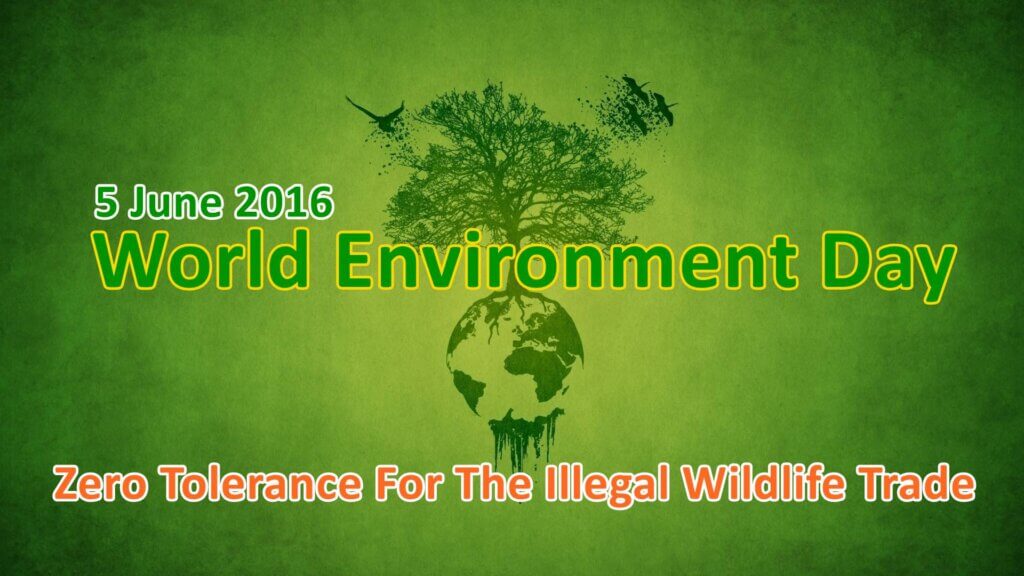 World Environment Day